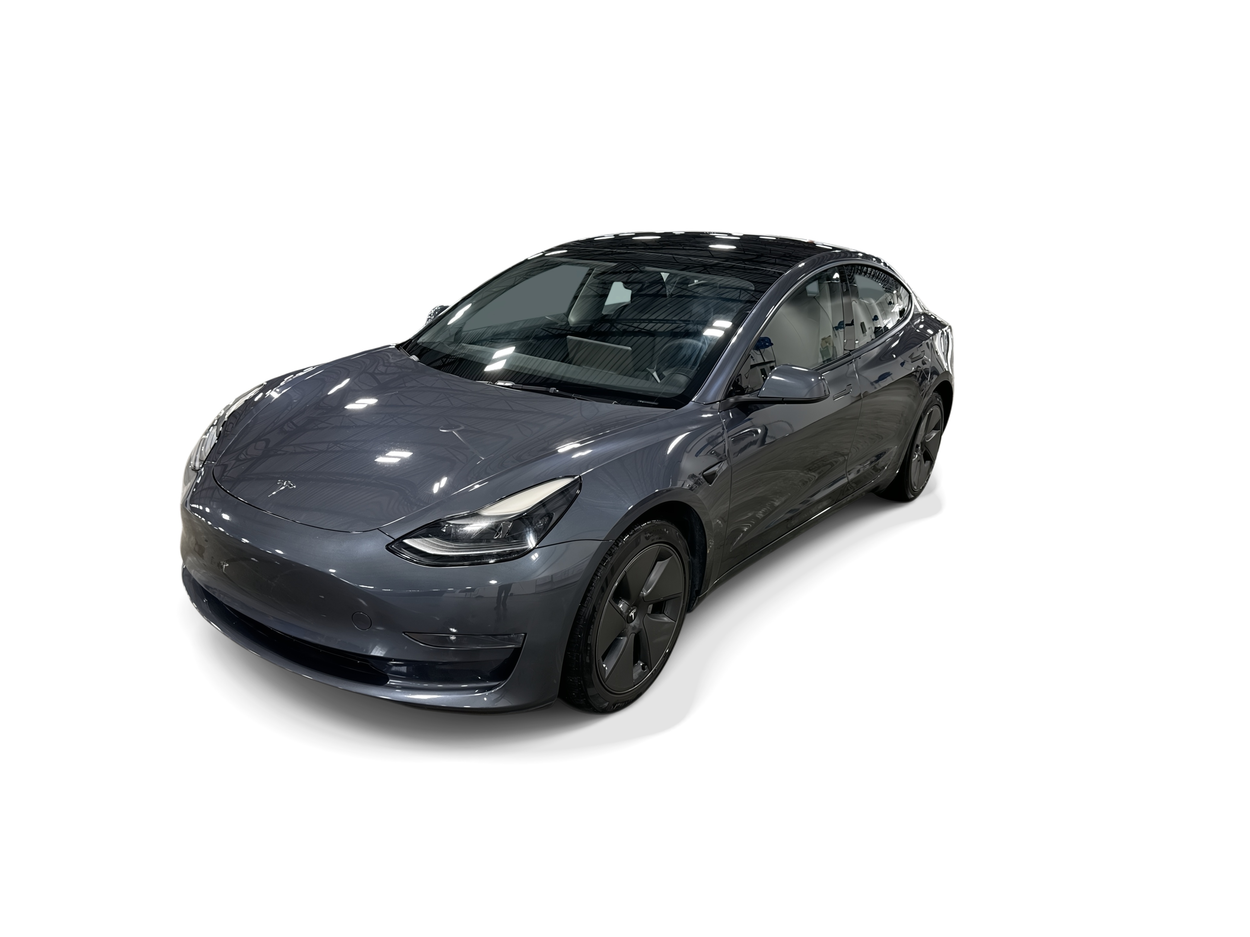 tesla model 3 2023 5YJ3E1EA2PF617269 image tesla model 3 2023 5YJ3E1EA2PF617269 image